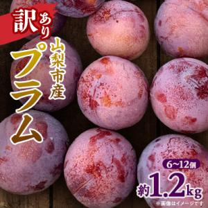 【2026年発送】訳ありプラム(すもも) 約1.2kg(6～12個)