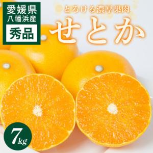 せとか 7kg 愛媛県 八幡浜市 西宇和地区 とろける濃厚果肉 柑橘の女王【H25-327】