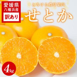 【訳あり】せとか 4kg 愛媛県 八幡浜産市 西宇和地区 柑橘の女王【C25-328】