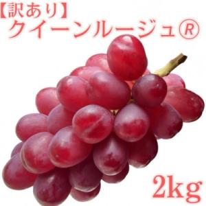 ふるさと納税 高森町 【訳あり】クイーンルージュ(R)2kg<2026年8月下旬より発送>