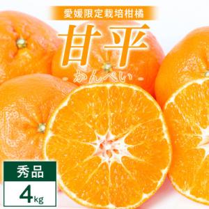 ふるさと納税 八幡浜市 【先行受付】甘平 4kg 愛媛県 八幡浜市 西宇和地区 扁平で濃い味【E25...