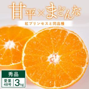 【先行受付】「紅プリンセス」と同品種 愛媛果試48号3kg【E25-341】