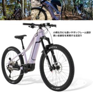 ふるさと納税 熊本市 パナソニック XEALT...の詳細画像1