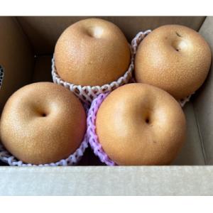 ふるさと納税 熊本市 【2025年8月上旬-10月中旬発送予定】熊本市産 梨(品種おまかせ) 約1.8kg(熊本市)