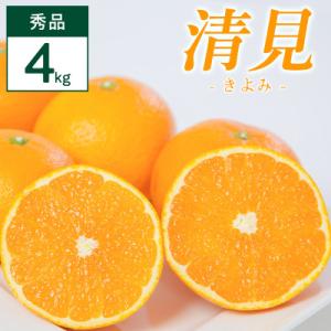 清見 4kg 愛媛県 八幡浜市 西宇和地区 柔らかい果肉【D25-352】