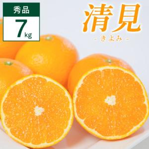 清見 7kg 愛媛県 八幡浜市 西宇和地区 柔らかい果肉【F25-353】