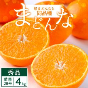 まごころまどんな 4kg 紅まどんなと同品種 愛媛果試28号 愛媛県【D25-370】