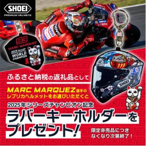 ふるさと納税 稲敷市 SHOEI【X-Fift...の詳細画像2