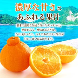 ふるさと納税 山鹿市 デコポン 6〜13玉 約...の詳細画像1