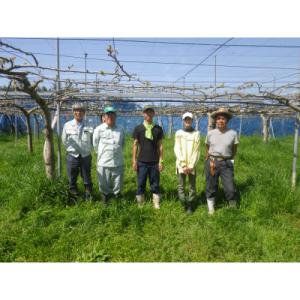 ふるさと納税 磐田市 【限定30口】梨『幸水』...の詳細画像2