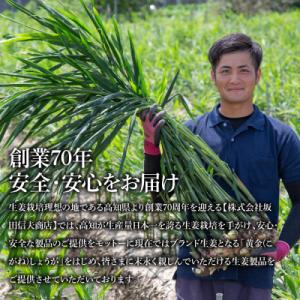 ふるさと納税 芸西村 減塩 味付け極しょうが ...の詳細画像3