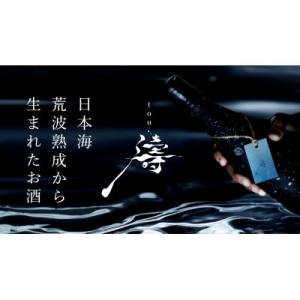 ふるさと納税 新潟県 海底熟成酒 『濤(TOU)01』(720ml)