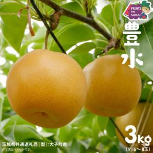 ふるさと納税 つくばみらい市 豊水 梨 3kg (6〜8玉)【2026年9月より発送開始】(茨城県共通返礼品 [梨]:大子町産)