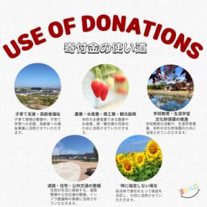 ふるさと納税 山元町 【返礼品なし】山元町への...の詳細画像2