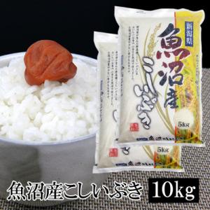 ふるさと納税 新潟県 お米マイスター厳選!令和7年産 魚沼産 こしいぶき 精米 10kg(5kg×2袋)