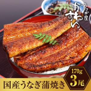 ふるさと納税 有田市 国産うなぎ蒲焼3尾セット(総量510g以上)