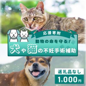 ふるさと納税 泉佐野市 【返礼品なし】動物の命を守る!犬や猫の不妊手術補助 応援寄附(大阪府泉佐野市)