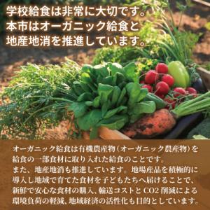 ふるさと納税 泉佐野市 【返礼品なし】SDGs...の詳細画像1