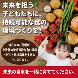 ふるさと納税 泉佐野市 【返礼品なし】SDGs...の詳細画像3
