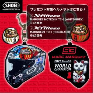 ふるさと納税 稲敷市 「X-Fifteen M...の詳細画像3