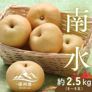 ふるさと納税 長野県 [信州産]南水梨 秀品 約2.5kg(6〜8玉入り) 9月中旬から順次発送