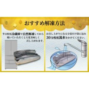 ふるさと納税 銚子市 【訳あり】塩さば(冷凍)...の詳細画像3
