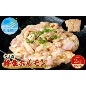 国産 豚 生ホルモン ねぎ塩味 2kg(400g×5パック)