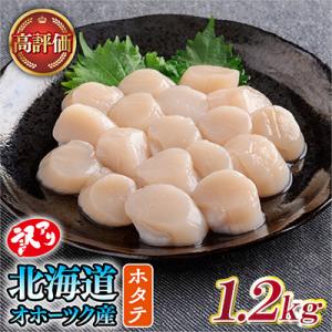 【訳あり】北海道オホーツク産 冷凍帆立貝柱(カット不要で便利な小玉)1,200g(400g×3袋)