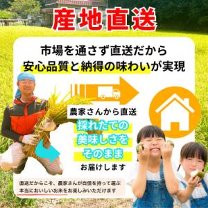 ふるさと納税 竹原市 【2026年先行予約】お...の詳細画像1