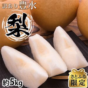 【さとふる限定】訳あり 豊水梨 約5kg【2027年8月下旬から2027年9月下旬発送予定】