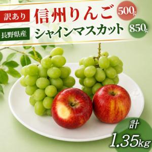 長野県産 シャインマスカット(2房)850g+信州りんご(訳あり)500g　計1.35kg
