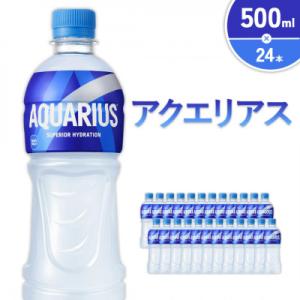 ふるさと納税 えびの市 アクエリアス PET 500ml×24本 1ケース(えびの市)