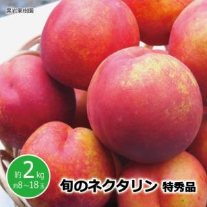 ふるさと納税 長野県 [2026年発送]信州須坂の桃 旬のネクタリン 特秀品 約2kg (約8〜18玉)