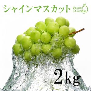 2026年発送　長野県産★シャインマスカット★3～5房入り2kg以上保証!糖度、皮の薄さに自信あり!