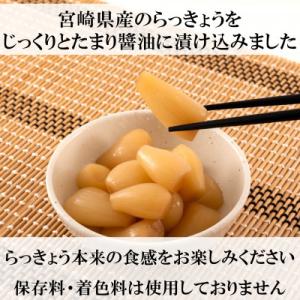 ふるさと納税 三股町 熟成たまりらっきょうセッ...の詳細画像1