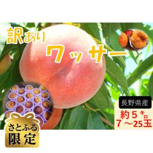 ふるさと納税 長野県 [さとふる限定][2026年発送]長野県産[訳あり]ワッサー約5kg[桃]×[ネクタリン]交配種