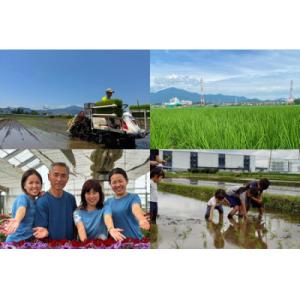 ふるさと納税 伊勢原市 【令和8年産 先行予約...の詳細画像1