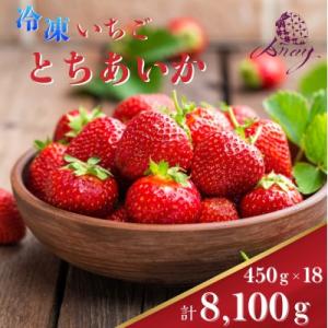 ふるさと納税 鹿沼市 【有機JAS認証いちご使用】冷凍いちご とちあいか 450g×18パック (計8100g)