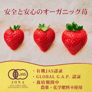 ふるさと納税 鹿沼市 【有機JAS認証いちご使...の詳細画像1