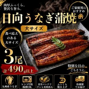 日向うなぎ蒲焼 大3尾(計490g以上)