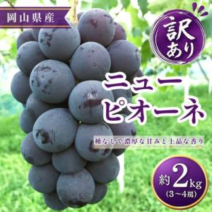 ふるさと納税 高梁市 【2026年発送】【訳あり】ニューピオーネ 3〜4房 約2kg