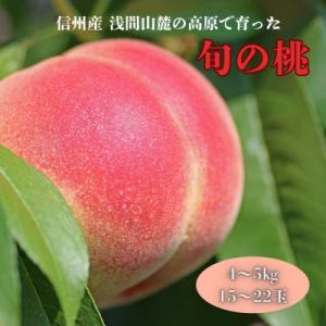 長野県浅間山麓　御代田町の桃(4～5kg)
