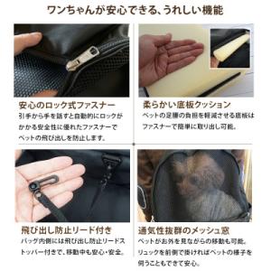 ふるさと納税 川口市 ペット用キャリー リュッ...の詳細画像2