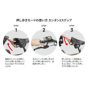 ふるさと納税 熊本市 パナソニックギュット・ア...の詳細画像2
