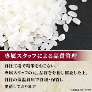ふるさと納税 旭川市 【特A】令和7年産ななつ...の詳細画像1