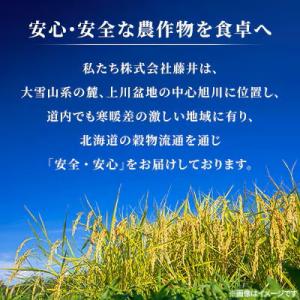 ふるさと納税 旭川市 【特A】令和7年産ななつ...の詳細画像2