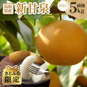 ふるさと納税 伯耆町 【さとふる限定】訳あり　新甘泉　約5kg