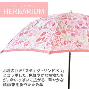 ふるさと納税 西桂町 婦人折りたたみ傘 Sti...の詳細画像1