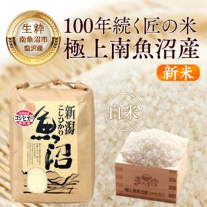 ふるさと納税 南魚沼市 【8年産新米予約】南魚沼産コシヒカリ(塩沢産)精米5kg