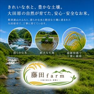 ふるさと納税 大田原市 【令和8年産】大田原市...の詳細画像1